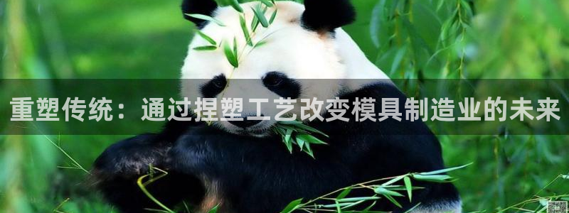 乐发app下载平台安装