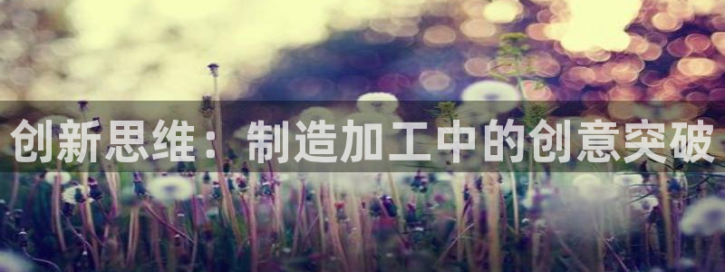 乐发IV投大小平台