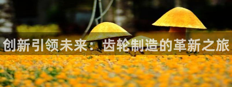 乐发平台下载安装官网