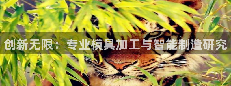 乐发是大平台吗