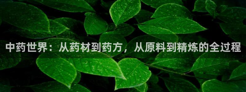 乐发平台注册地址