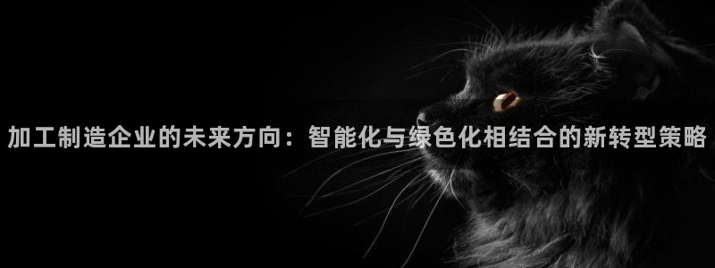 乐发分期是什么贷款平台