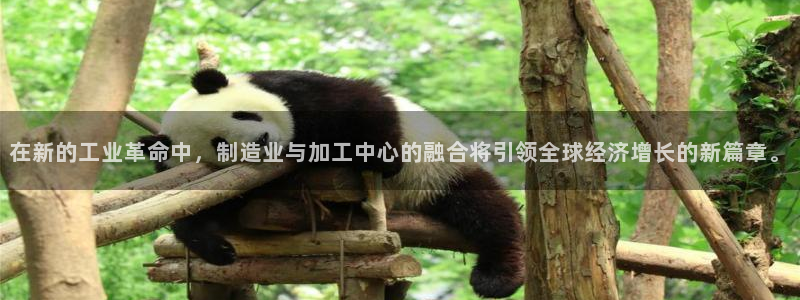 乐发l 购彩平台