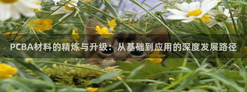 乐发安全平台邀请码