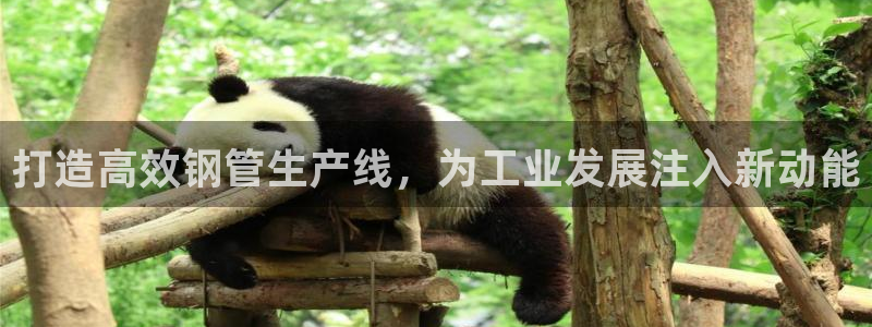 发乐发彩票平台注册