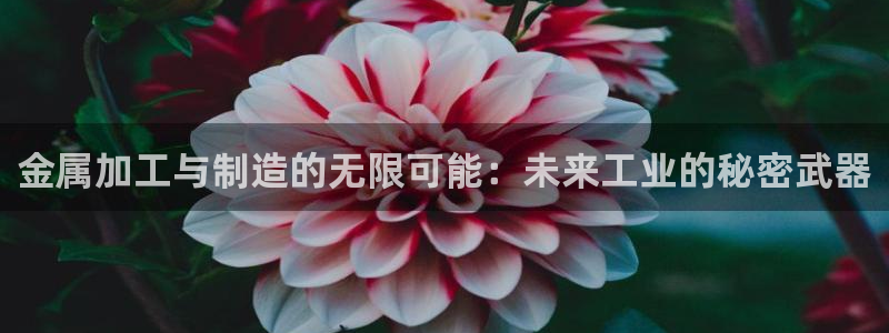 乐发彩票平台是真的吗