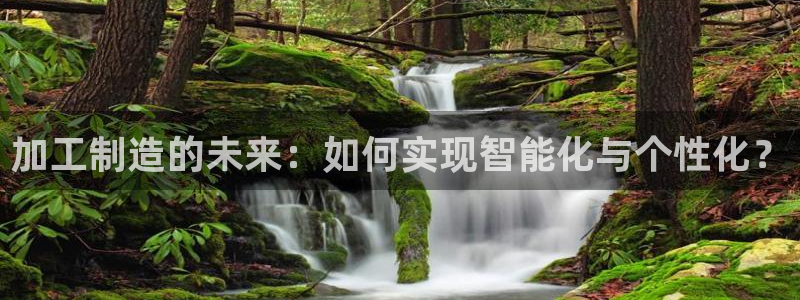 乐发ii彩票平台怎么样