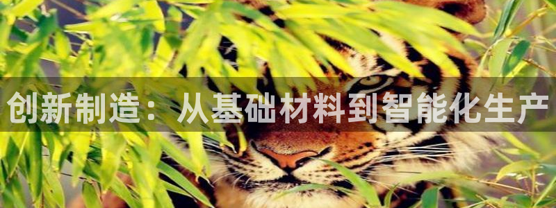 乐发1彩票平台在校下载