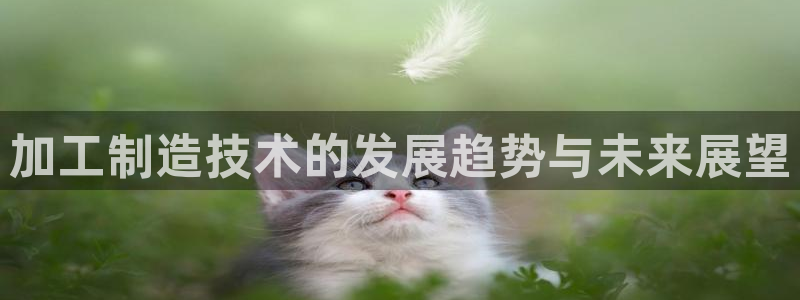 乐发彩票是什么平台