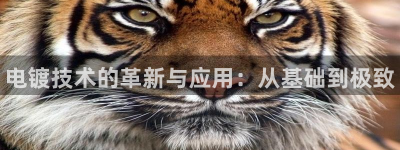 乐享发朋友圈平台