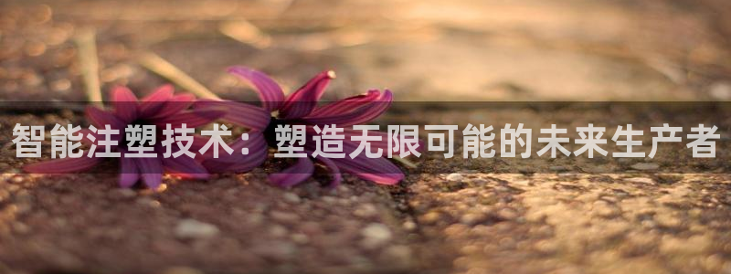 百乐发娱乐平台