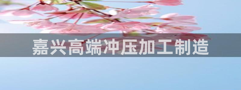 乐发彩票登录平台下载