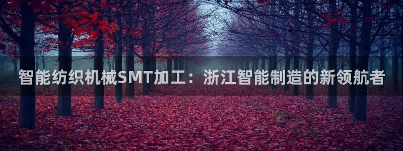 乐发VIII平台免费版