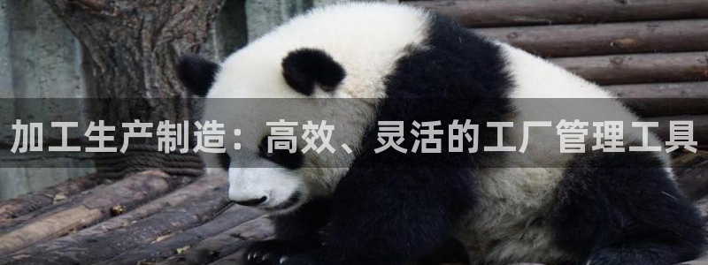 乐发平台注册流程视频