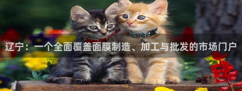 百乐发娱乐平台